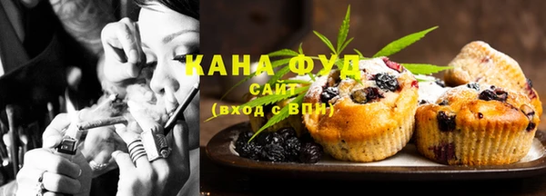 мдпв Богородицк