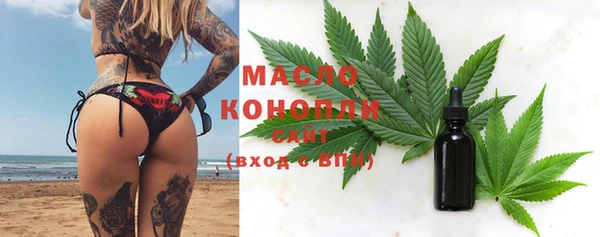 мдпв Богородицк