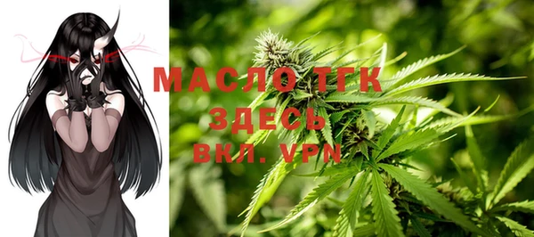 мдпв Богородицк
