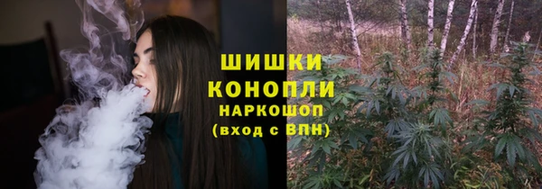 мдпв Богородицк
