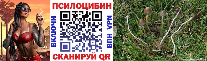 Галлюциногенные грибы Psilocybine cubensis  Светлый 